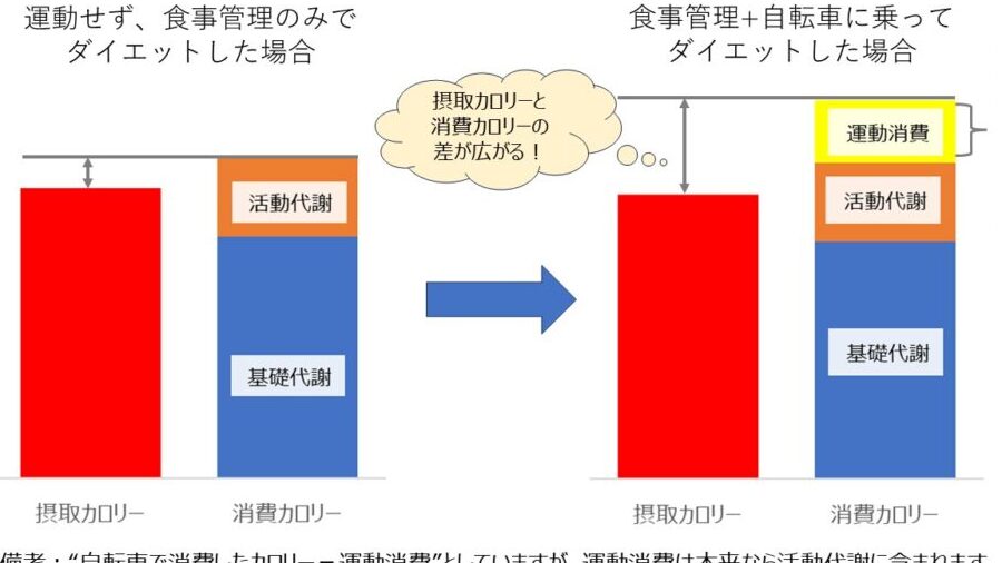 ダイエットにおけるランニングと自転車の効果比較