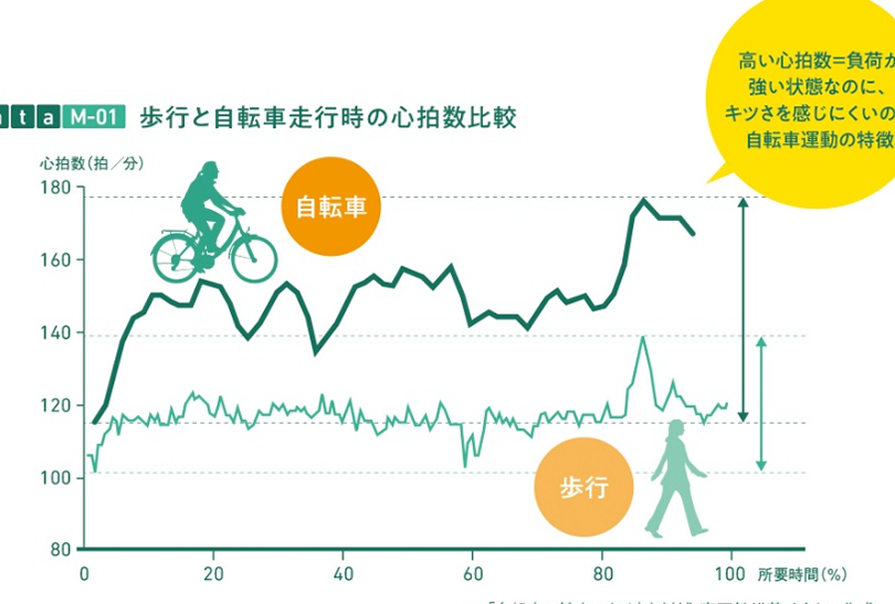 歩きと自転車どっちが痩せる？効果を比較する