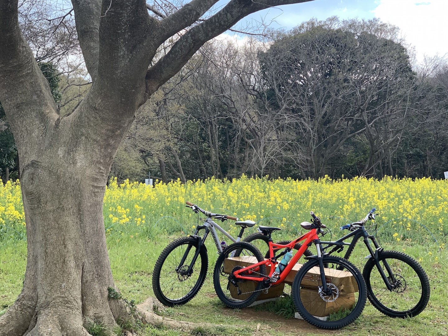 誰得 俺得 自転車の魅力と楽しみ方を考える